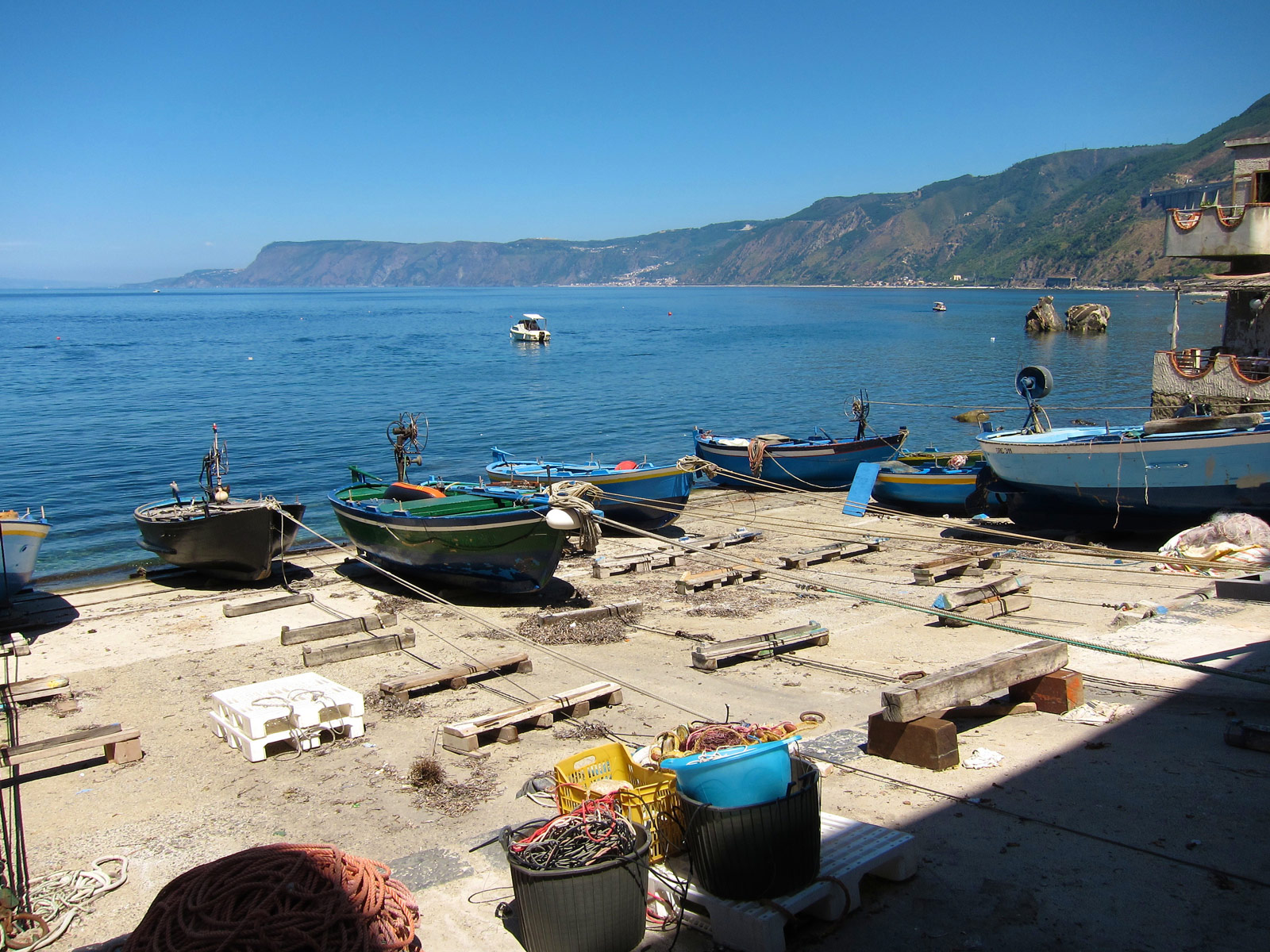 Scilla